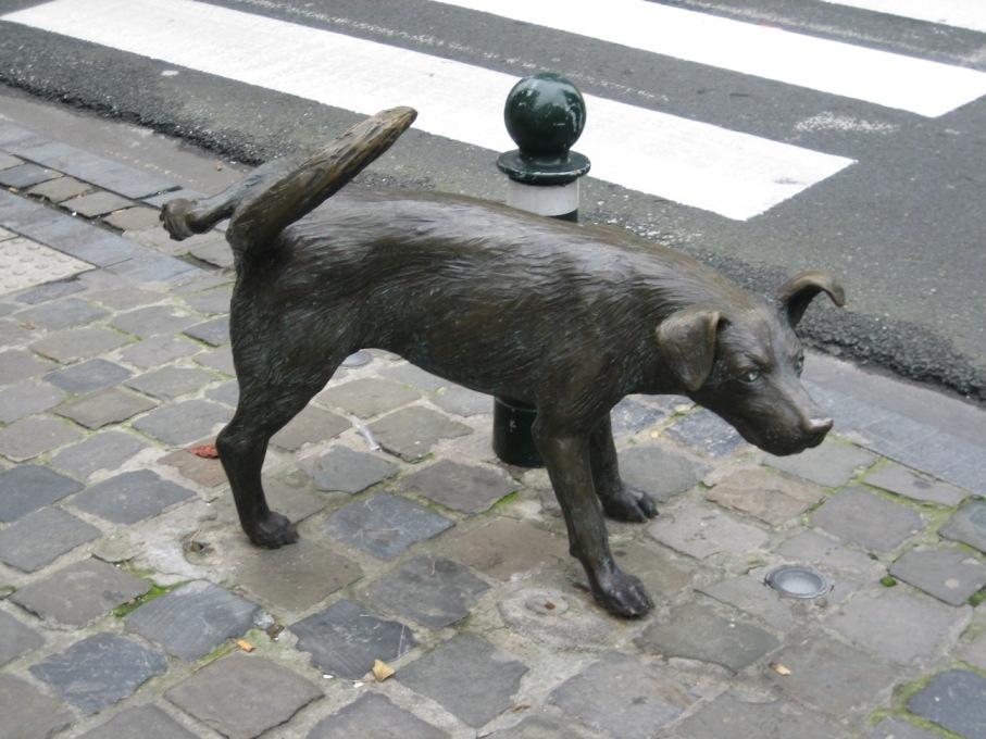 Dog statue